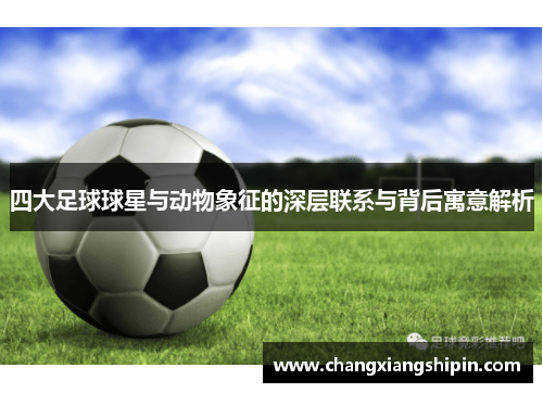 四大足球球星与动物象征的深层联系与背后寓意解析