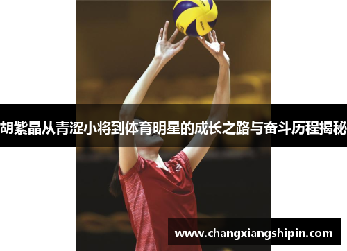 胡紫晶从青涩小将到体育明星的成长之路与奋斗历程揭秘